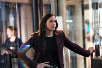 Imagen de CSI: Vegas (T2): Ep.16 Acabaremos cayendo - 3