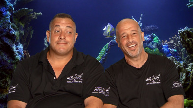 Imagen de Acuarios XXL: Wayde vs. Brett - 2