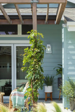 Imagen de Casas con encanto (T2): Un palacio para cachorros - 1