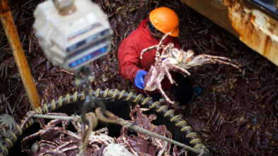 Imagen de Pesca radical: Trato injusto - 2