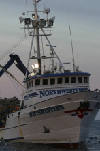 Imagen de Pesca radical: Sangre y vísceras - 1