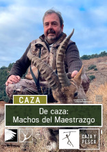 Imagen de De caza: machos del Maestrazgo - 1