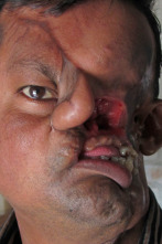 Imagen de Diagnósticos... (T5): Un tigre se comío mi rostro - 1