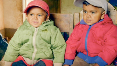 Imagen de Diagnósticos... (T5): Los hermanos más pequeños - 2