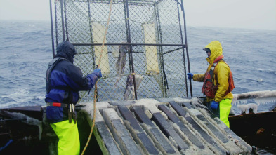 Imagen de Pesca radical: Un problema como María - 2