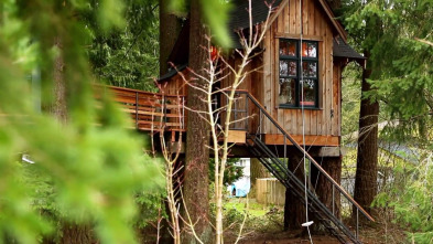 Imagen de Mi casa en un árbol (T2): Casa del árbol biónica - 2
