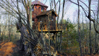Imagen de Mi casa en un árbol (T5): La experiencia Roderick - 2