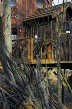 Imagen de Mi casa en un árbol (T5): La experiencia Roderick - 1
