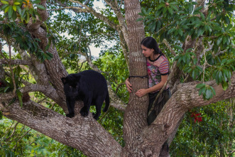Imagen de Emma y el jaguar negro - 7