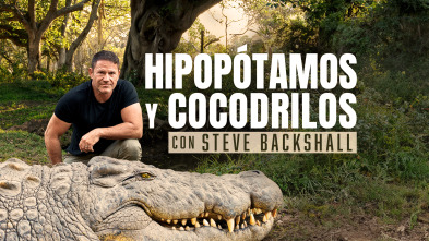 Imagen de Hipopótamos y cocodrilos con Steve Backshall  - 2