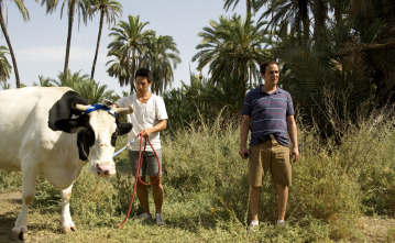Imagen de El barco (T3): Ep.12 Nada por aquí - 1