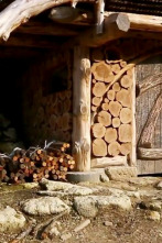 Imagen de Mi casa en un árbol (T2): Mi casa en un árbol: internacional - 1