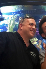 Imagen de Acuarios XXL: El acuario real de Prince Royce - 1