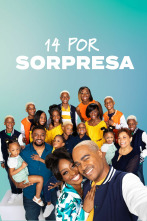 Imagen de 14 por sorpresa (T2) - 1