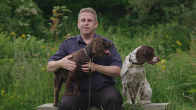 Imagen de Perros detectives: Espera lo inesperado - 2