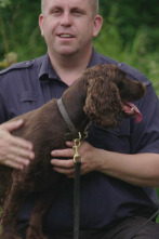 Imagen de Perros detectives: Espera lo inesperado - 1