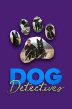 Imagen de Perros detectives (T1) - 1