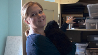 Imagen de Expecting Amy (T1): and Birth - 2