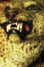 Imagen de Extinct Or Alive: El leopardo de Zanzíbar - 1