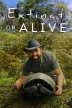 Imagen de Extinct Or Alive  - 1