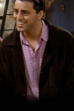 Imagen de Friends (T3): Ep.22 El del tío que grita - 1