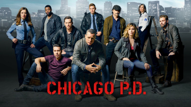 Imagen de Chicago PD (T2) - 2