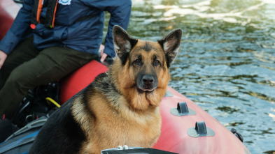 Imagen de Hudson & Rex (T6): Ep.1 Barco fantasma - 1
