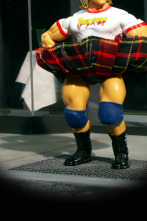 Imagen de Robot Chicken (T2): Ep.8 Rodiggity - 1