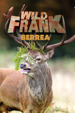 Imagen de Wild Frank: La Berrea - 1