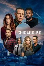 Imagen de Chicago PD (T8) - 1