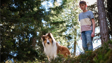 Imagen de Lassie. Una nueva aventura - 3