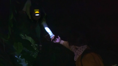 Imagen de Beyond Utopia - 6