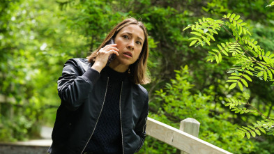 Imagen de Hudson & Rex (T6): Ep.5 Héroe de noche - 1