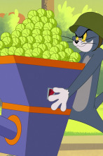 Imagen de Tom y Jerry en... (T1): El osito de Spike / Reloj de cuco suizo / Equipazo / Soldado Tom - 1