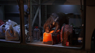 Imagen de Control de... (T5): Ep.16 - 2