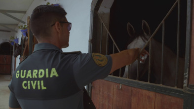 Imagen de Seprona en acción: Ep.8 - 2
