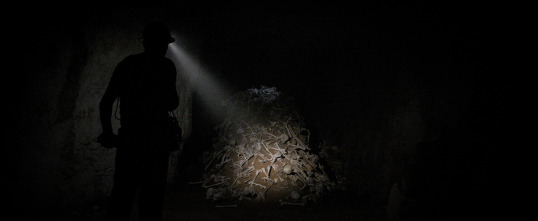 Imagen de Oscuridad total - 13