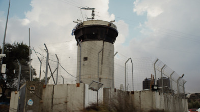 Imagen de Shahid, crecer o morir en Palestina - 9