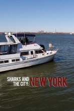 Imagen de Tiburones en Nueva York - 1