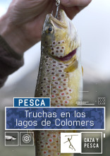 Imagen de Truchas en los lagos de Colomers - 1