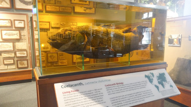 Imagen de Misterios en el museo: La batalla de Palmdale - 2