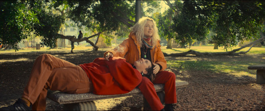 Imagen de Blondi - 3