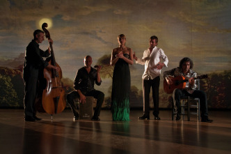 Imagen de Flamenco, Flamenco - 3