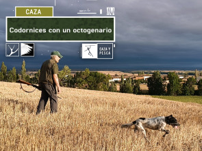 Imagen de Codornices con un octogenario - 2