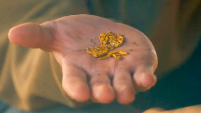 Imagen de La fiebre del oro (T14): Sucesión - 2
