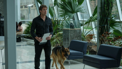 Imagen de Hudson & Rex (T6): Ep.9 Hudson e hijo - 1
