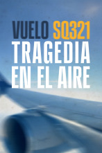 Imagen de Vuelo SQ321: tragedia en el aire - 1