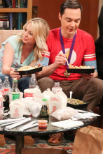 Imagen de The Big Bang Theory (T12): Ep.24 El síndrome de Estocolmo - 1
