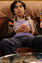 Imagen de The Big Bang Theory (T3): Ep.17 Una fragmentación muy valiosa - 1