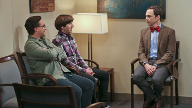 Imagen de The Big Bang Theory (T9): Ep.18 El deterioro de la soledad - 2